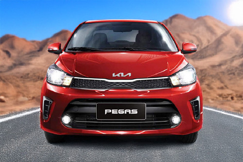 Full Front View of Pegas Full Front View of Pegas