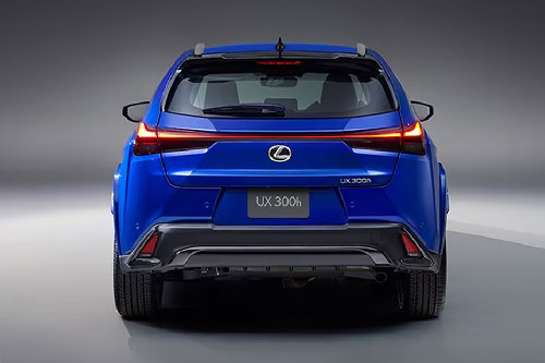 Full Rear View of Lexus UX300H