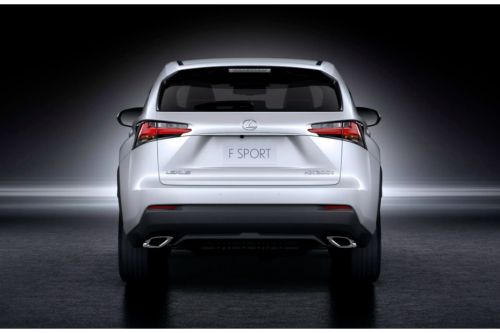 Full Rear View of Lexus NX