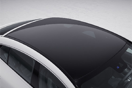 AMG GT 4 DOOR roof rail