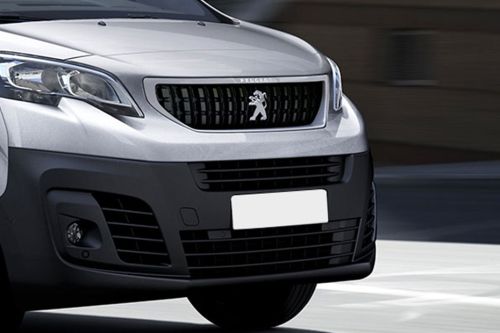 Expert (2018-2022) Grille View