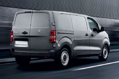 Expert Rear angle view