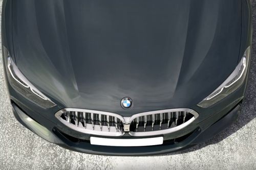 8 Series Convertible Grille View
