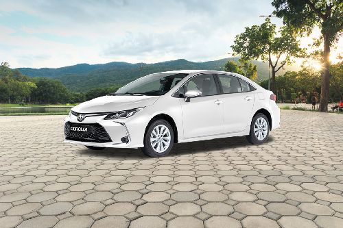 Corolla Front angle low view