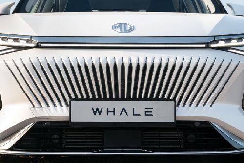 Whale Grille View