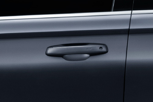 Monjaro Door handle