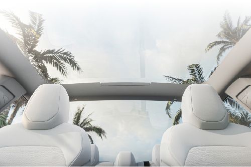 Tesla Model 3	 Sunroof Moonroof