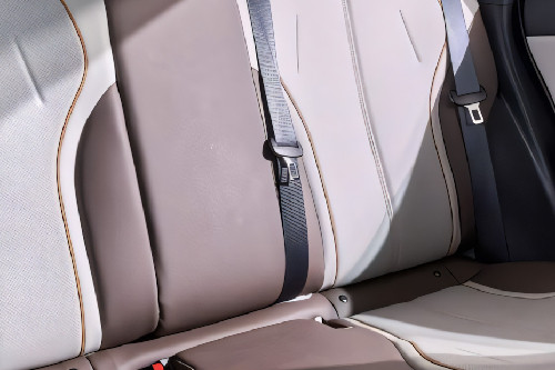 Qin Plus Seat Belt
