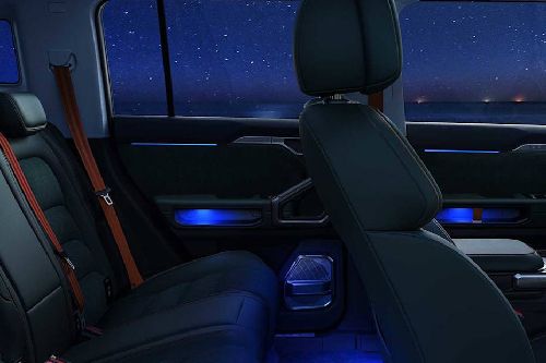 T2 Seat Belt