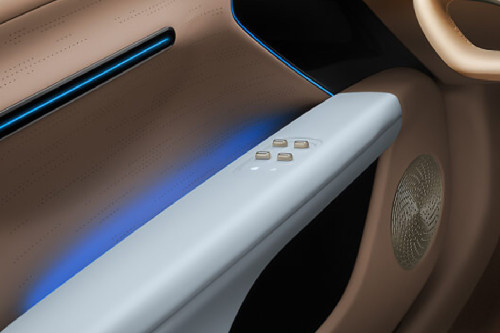 AVATR 07 Drivers Side In Side Door Controls