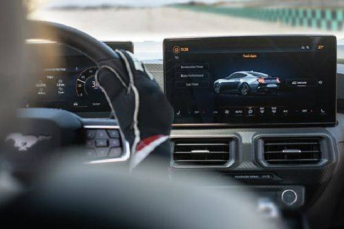 Stereo View of Mustang