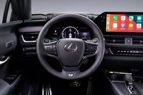 Lexus UX300H Steering Wheel