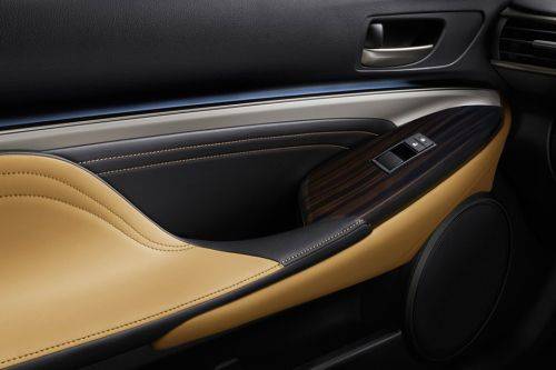 Lexus RC Drivers Side In Side Door Controls