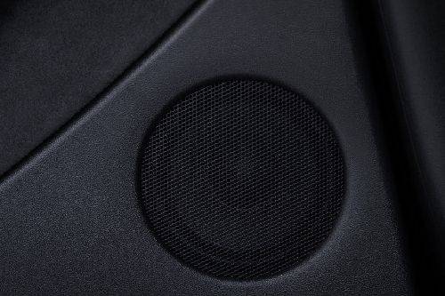 Speakers View of Tesla Model Y