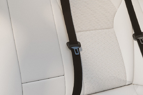 Model 3	 Seat Belt